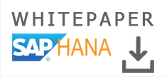 Whitepaper SAP HANA