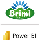 Logo des consultnetwork Referenzkunden Brimi, der Power BI implementieren ließ